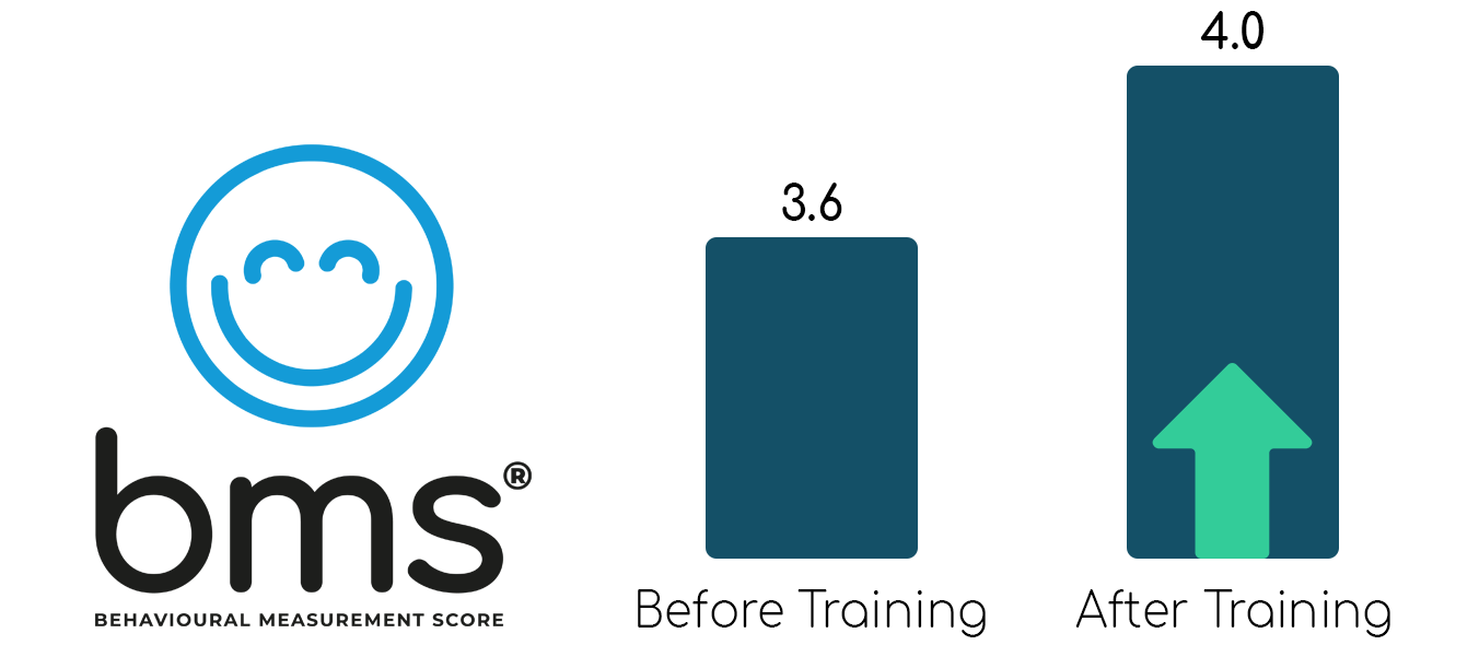 Audi Training Case Study 3