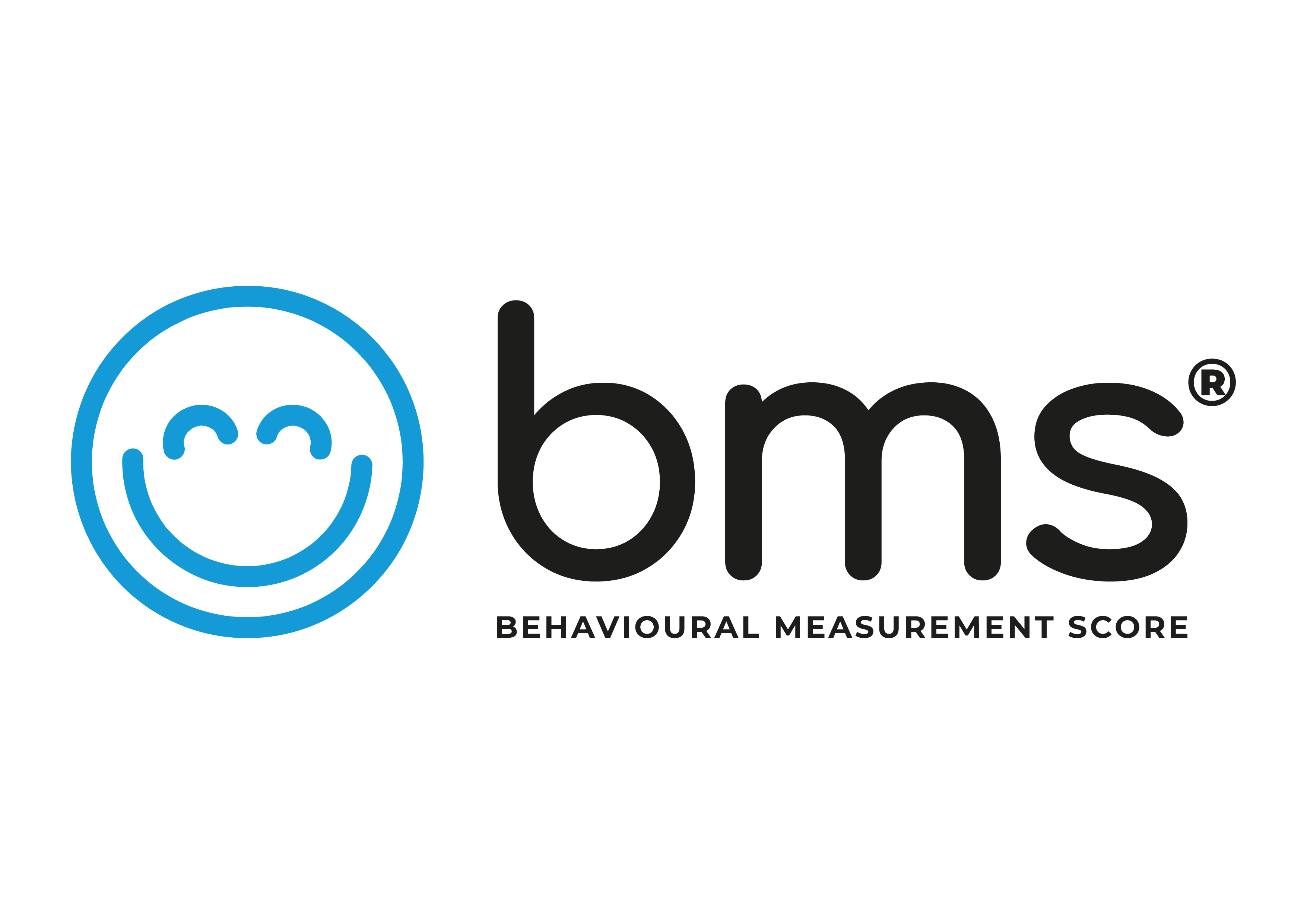 BMS Logo Set bms horizontal grey