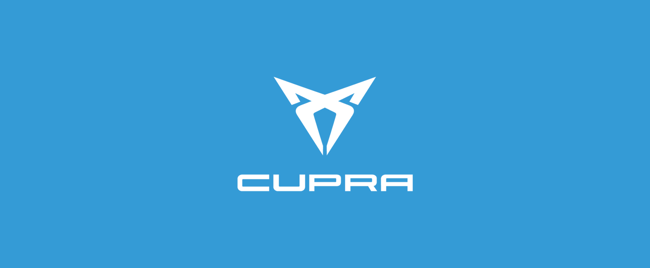 Case Study Banner Cupra