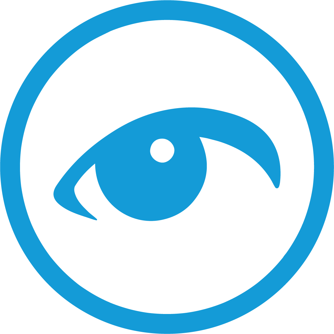 Pi P Eye Only Blue