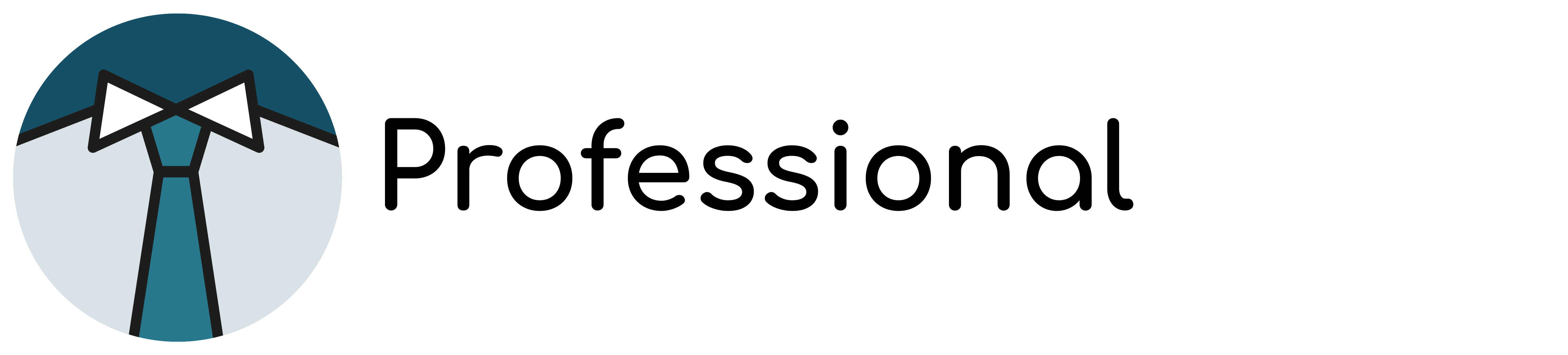 WBS Professional