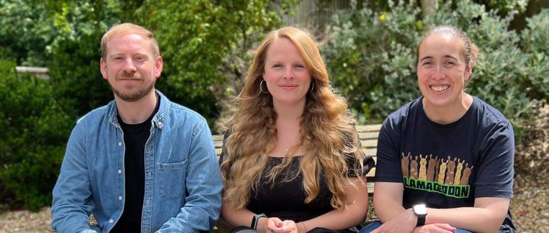 Old Insights Team