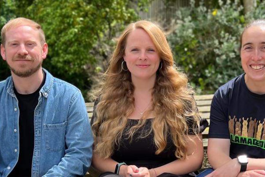 Old Insights Team